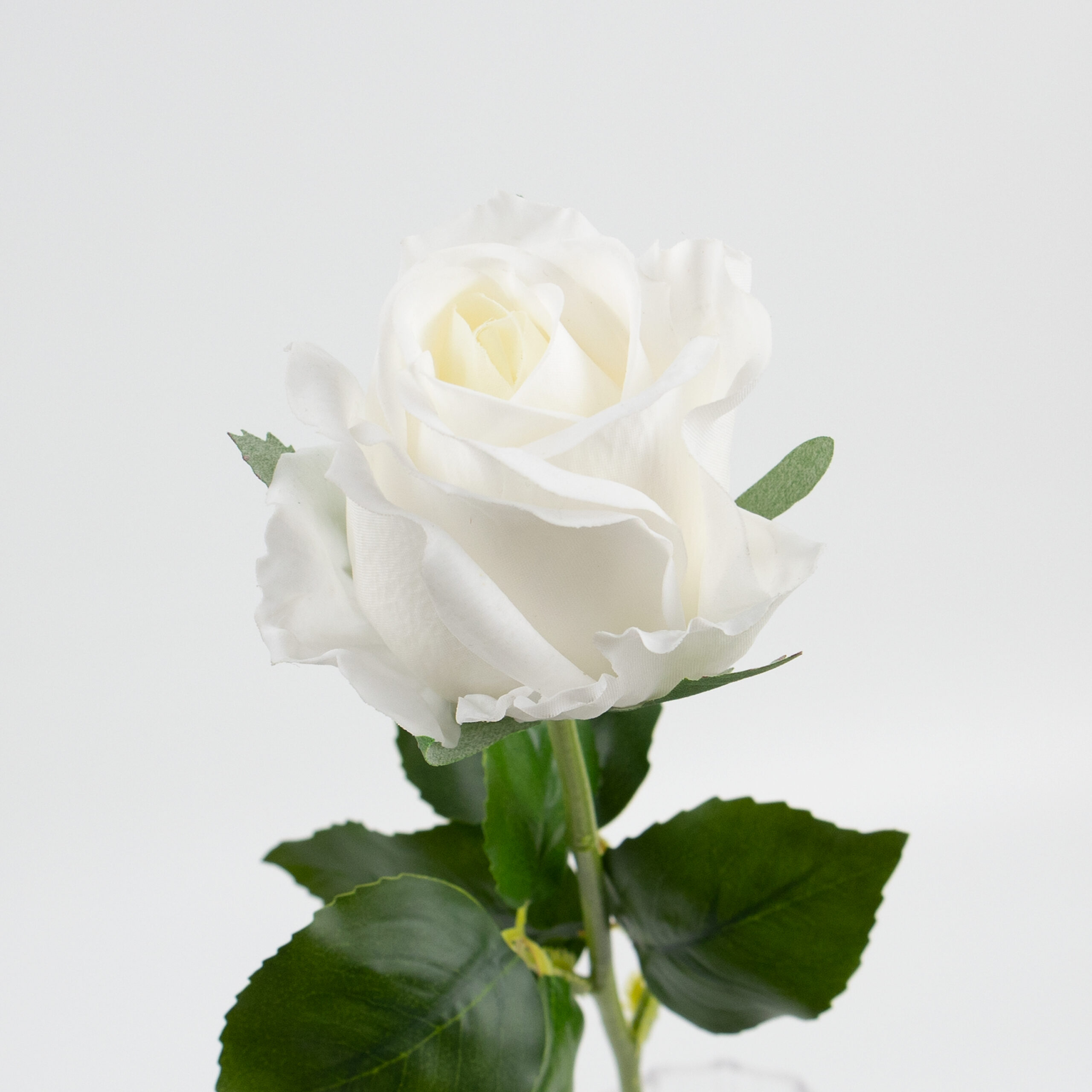 48cm Real-Touch Sofia Rose Stem