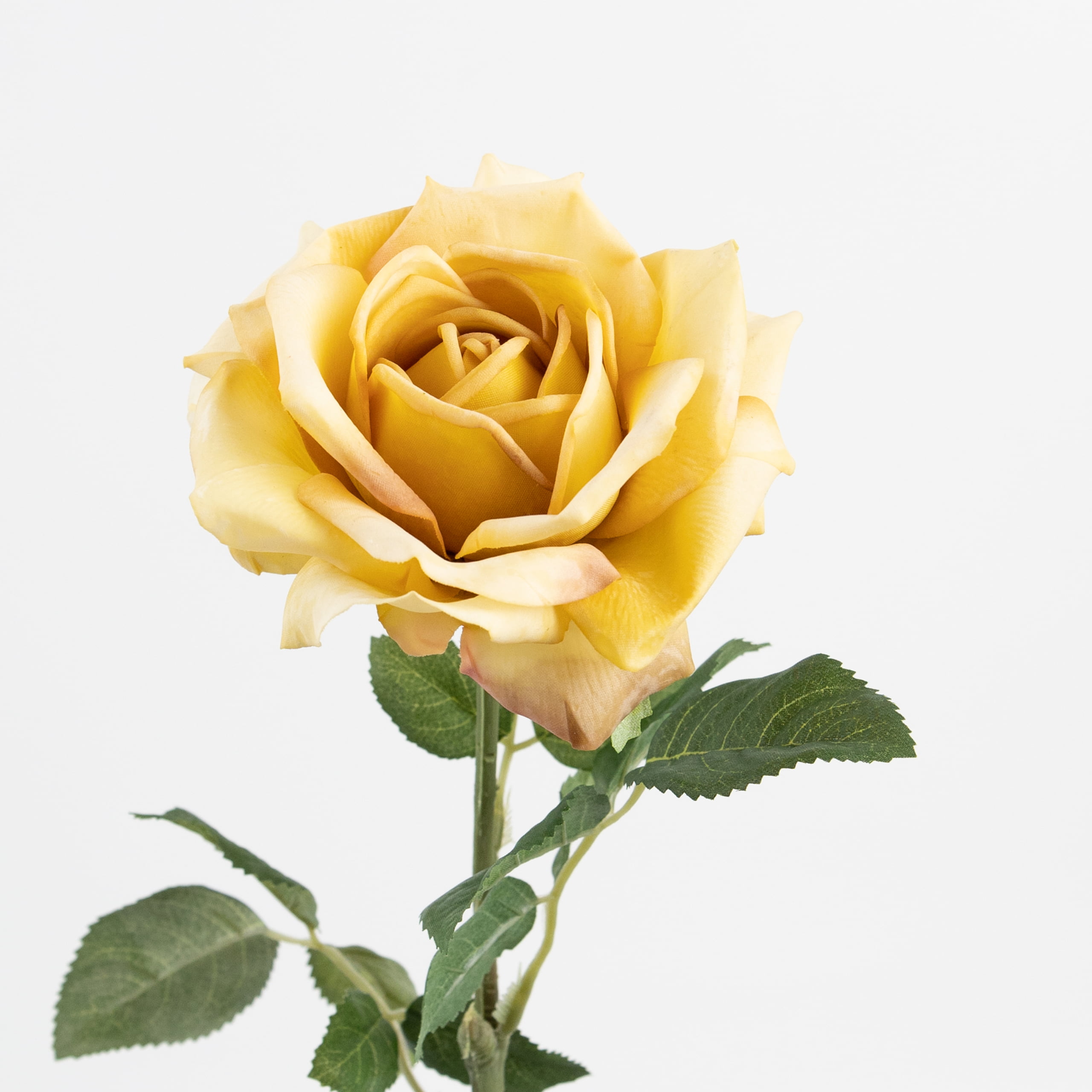 60cm Real-Touch Princess Rose Stem
