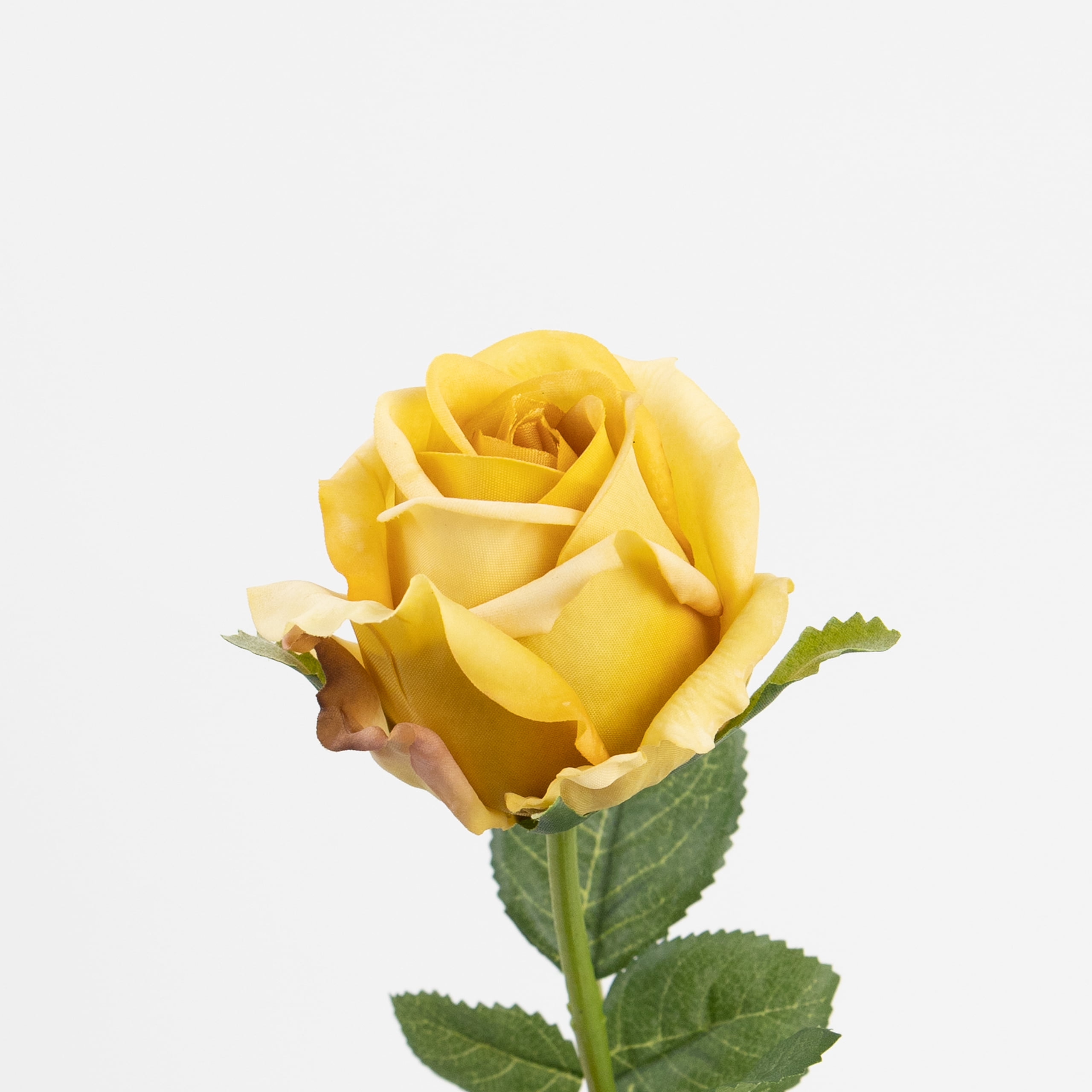 48cm Real-Touch Sofia Rose Stem
