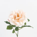 58cm Real-Touch Jasmine Rose Stem