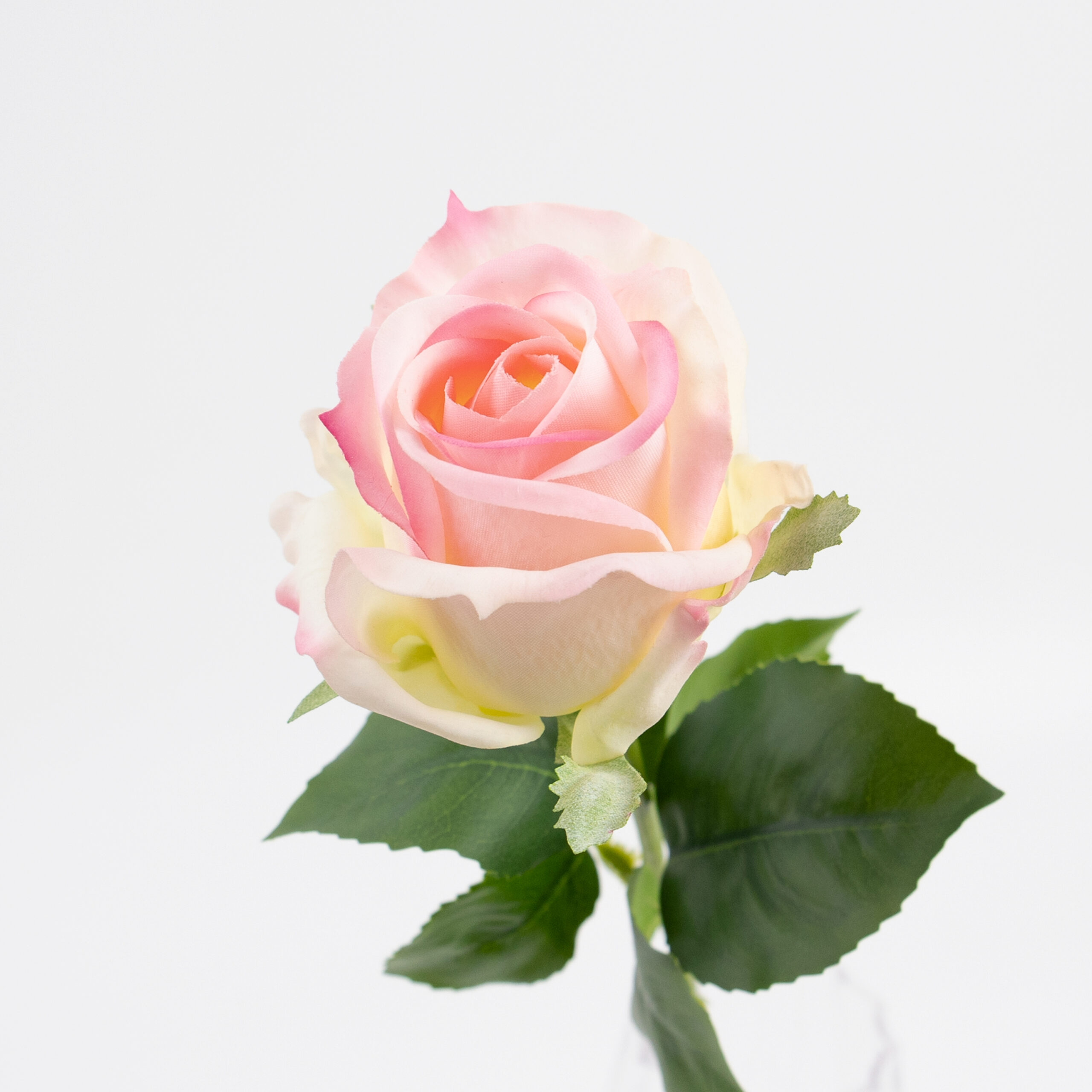 48cm Real-Touch Sofia Rose Stem
