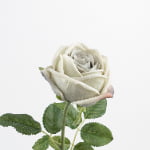 60cm Real-Touch Sarah Rose Stem
