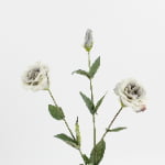 72cm Real-Touch Sibyl Lisianthus Stem