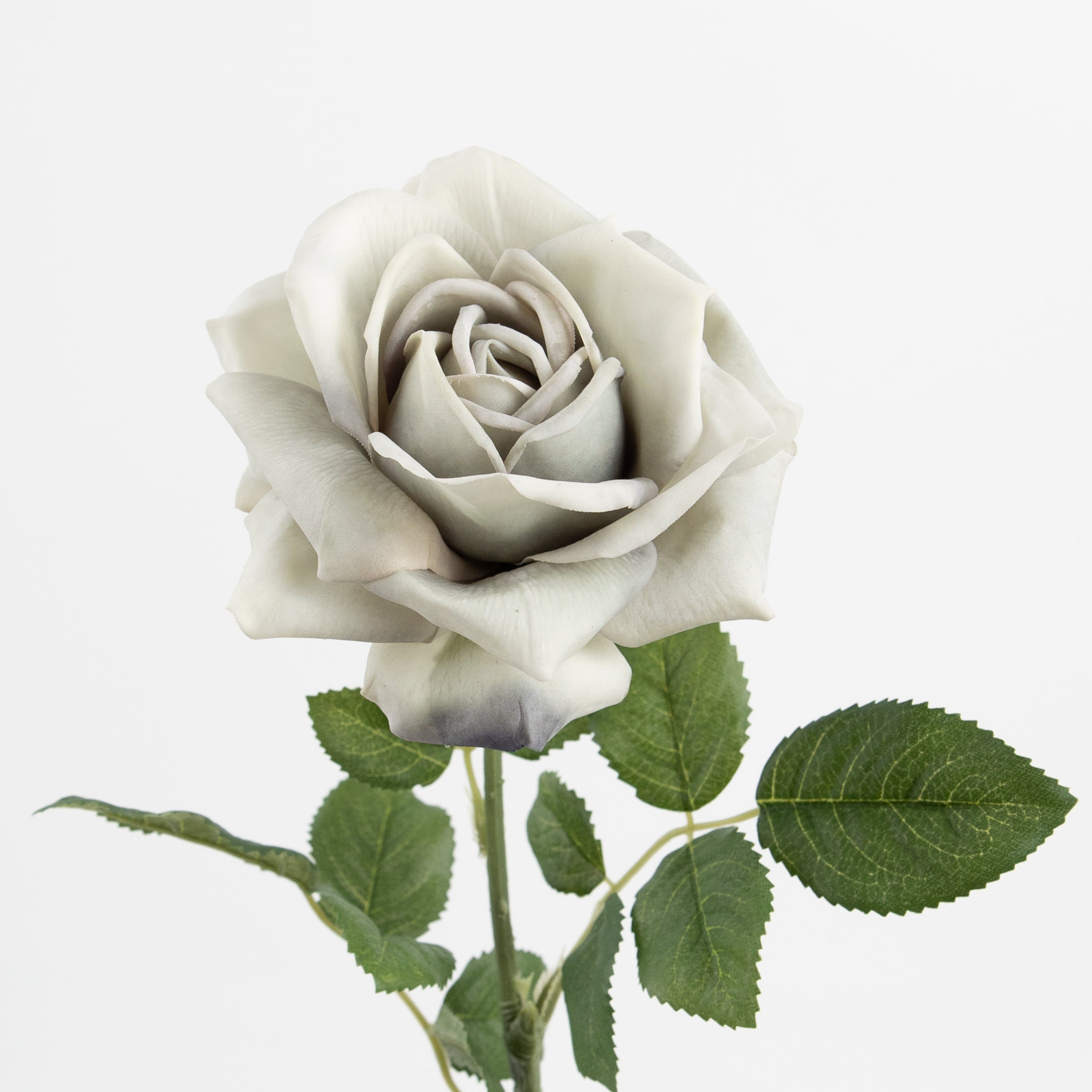 60cm Real-Touch Princess Rose Stem
