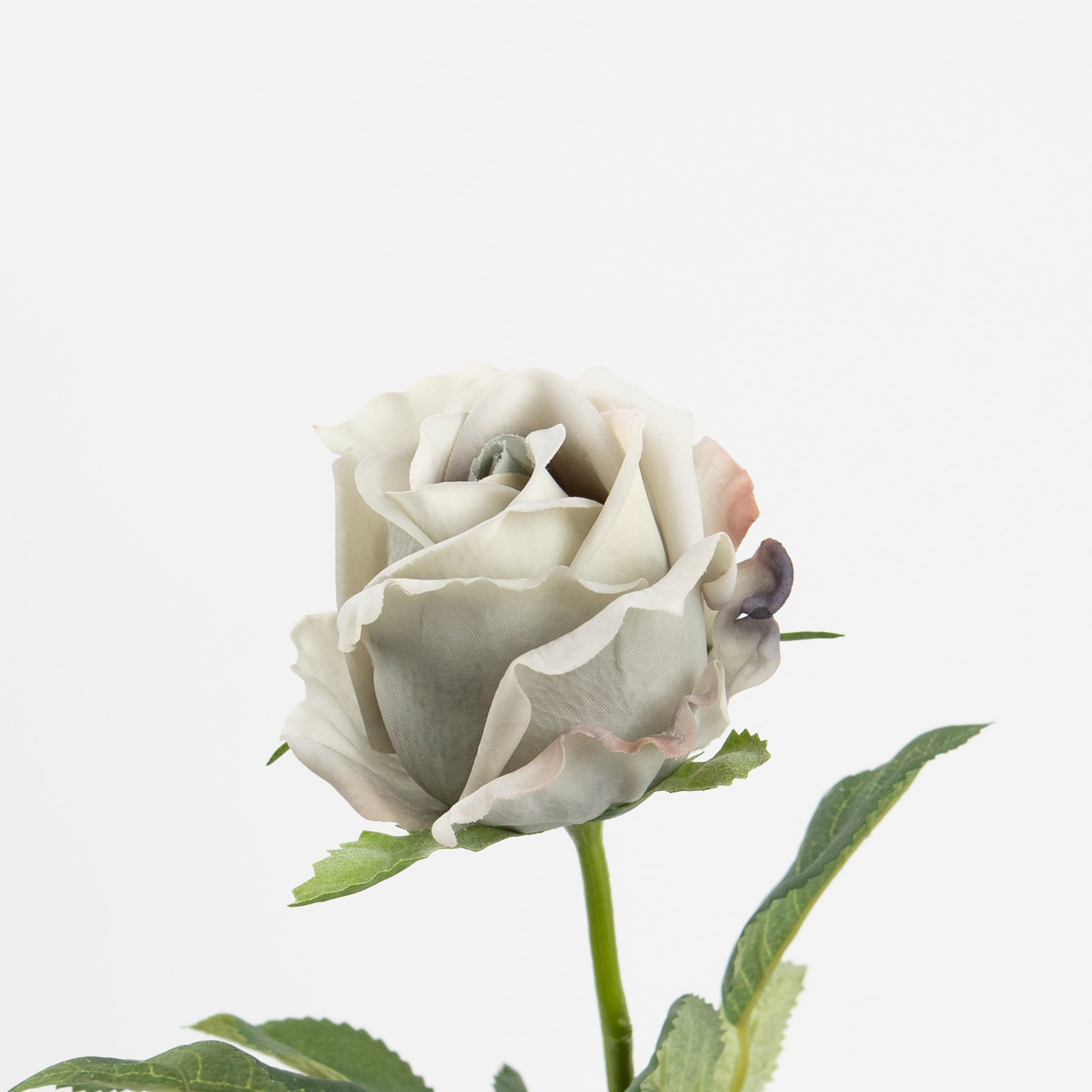 48cm Real-Touch Sofia Rose Stem
