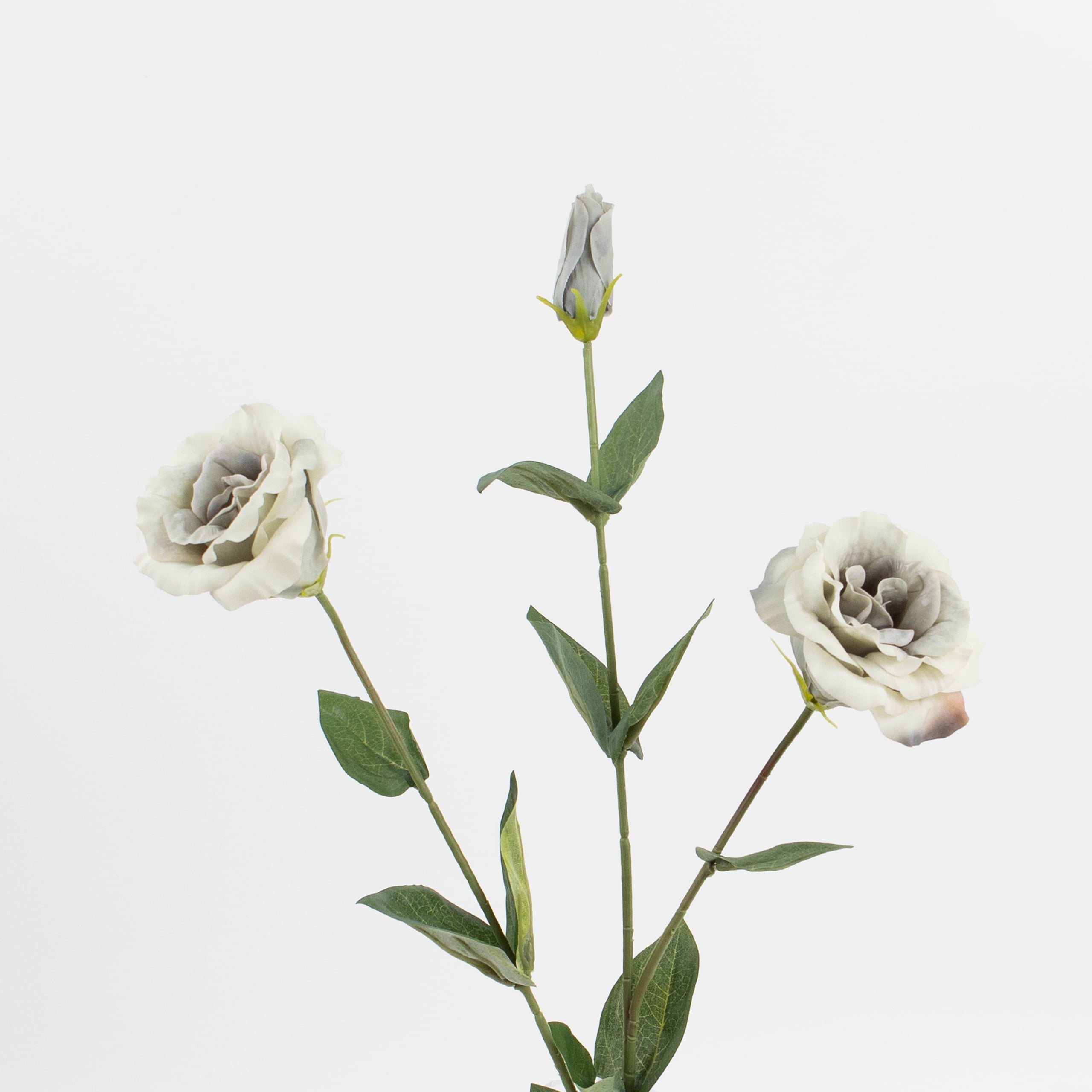 72cm Real-Touch Sibyl Lisianthus Stem