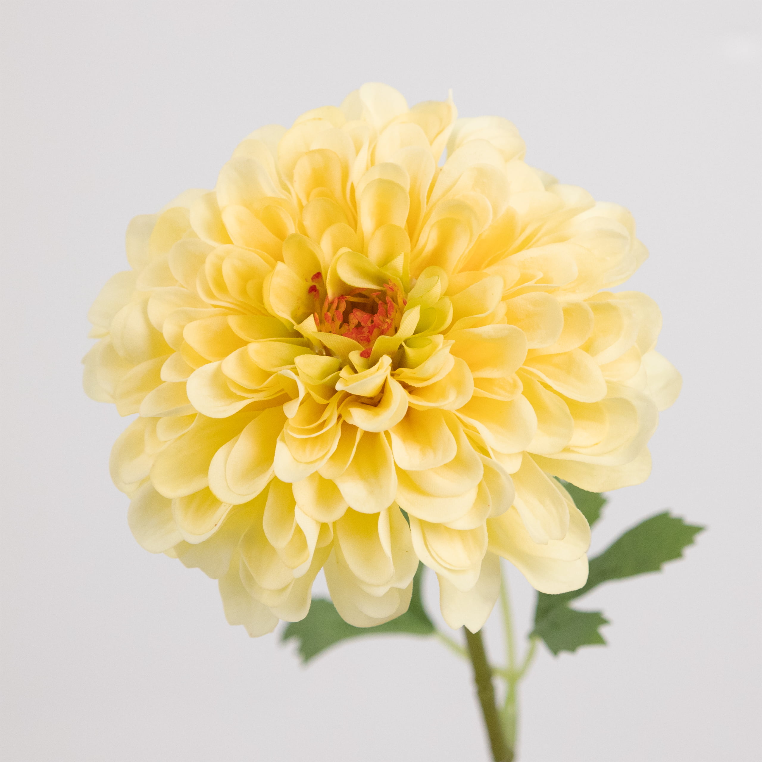 60cm Real-Touch Chrysanthemum Stem