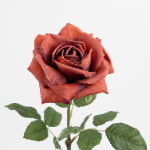 60cm Real-Touch Princess Rose Stem