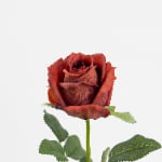 48cm Real-Touch Sofia Rose Stem