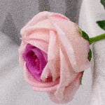 46cm Real-Touch Sarah Rose Stem