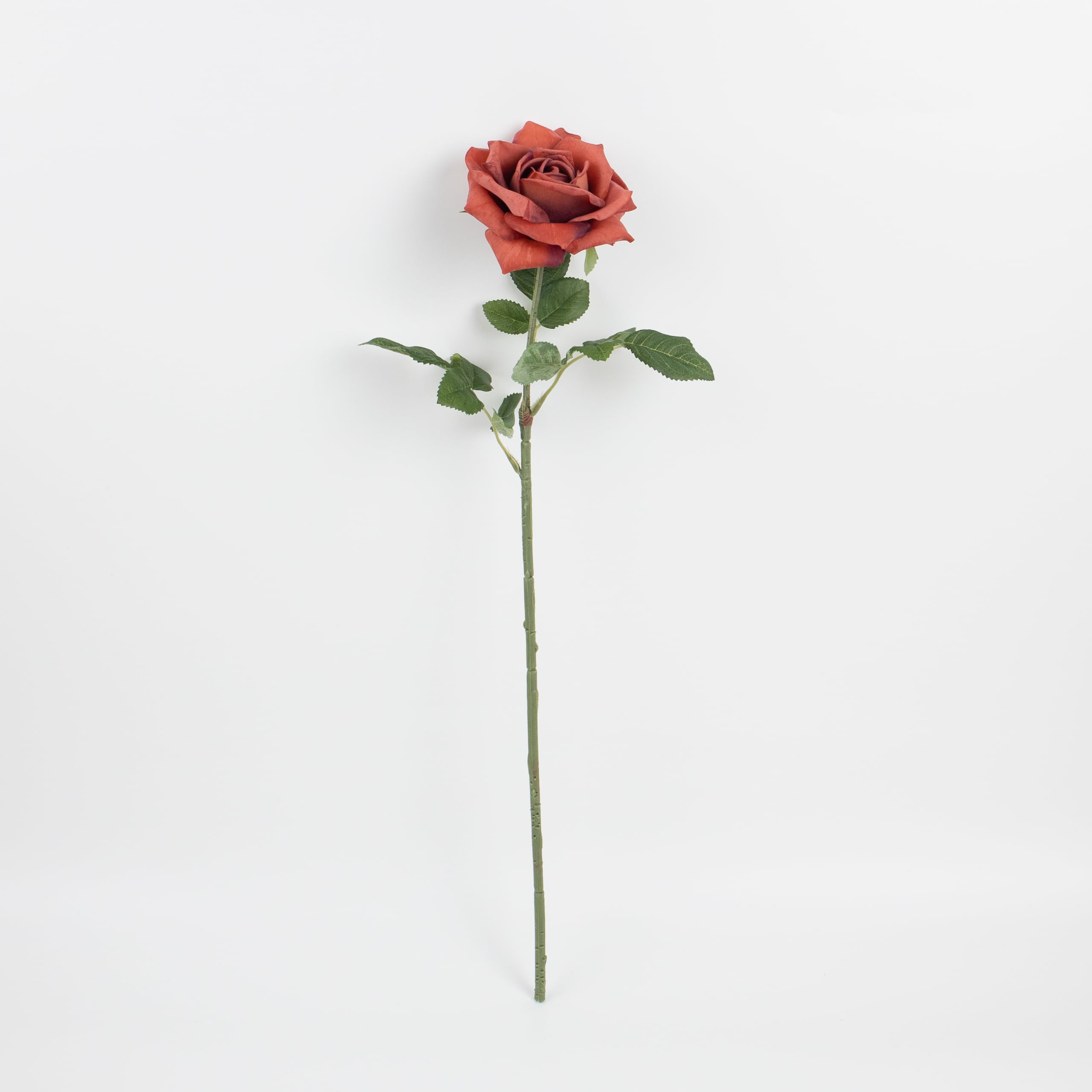 60cm Real-Touch Princess Rose Stem