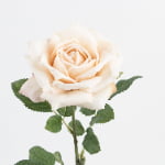 60cm Real-Touch Princess Rose Stem