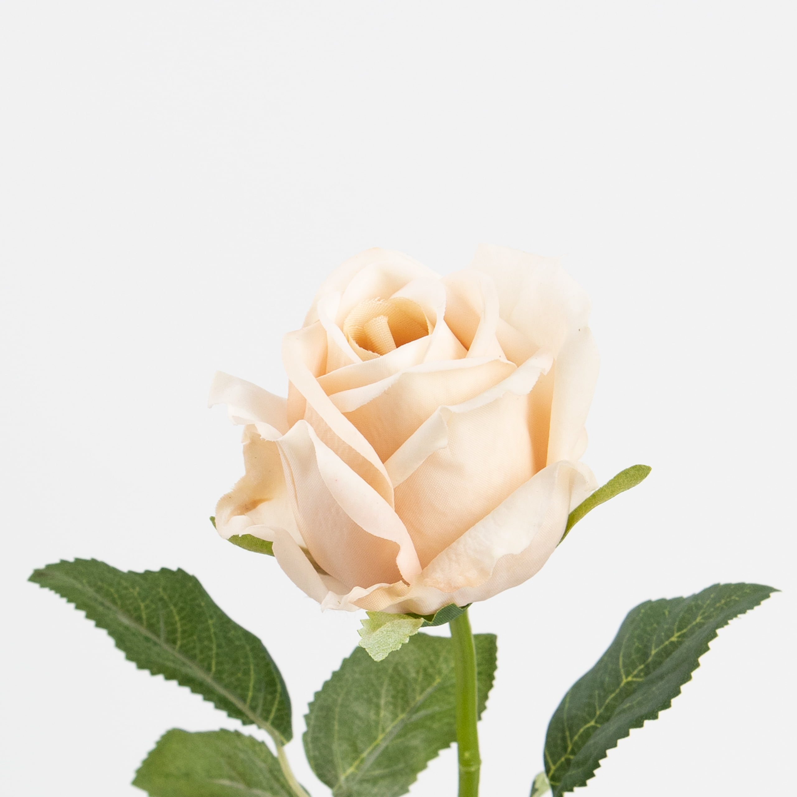 48cm Real-Touch Sofia Rose Stem