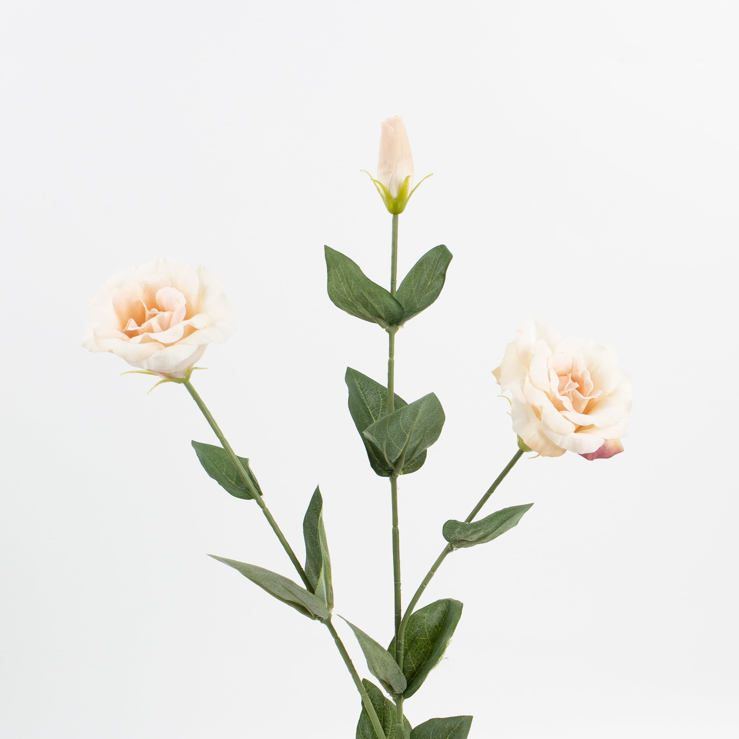 72cm Real-Touch Sibyl Lisianthus Stem