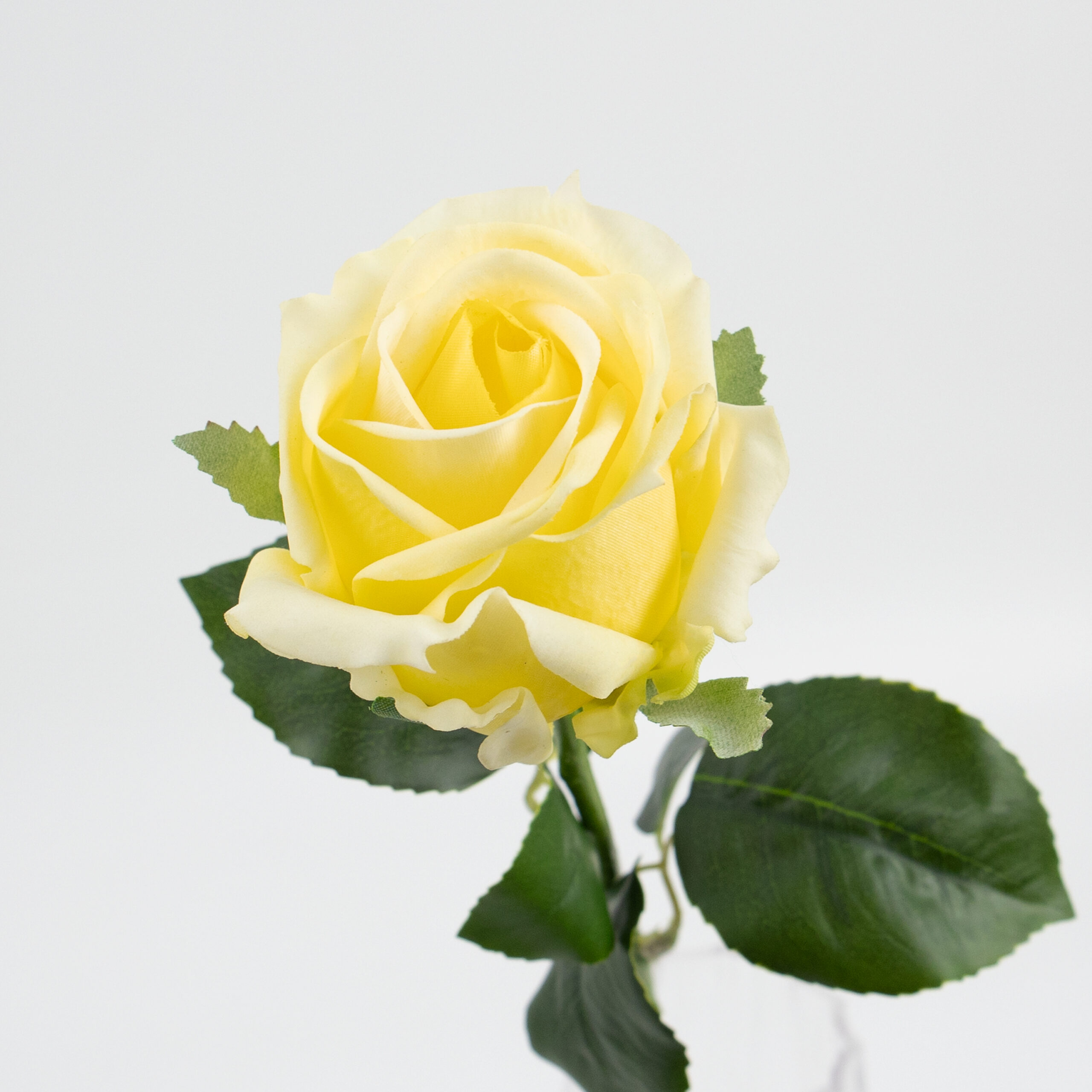 48cm Real-Touch Sofia Rose Stem
