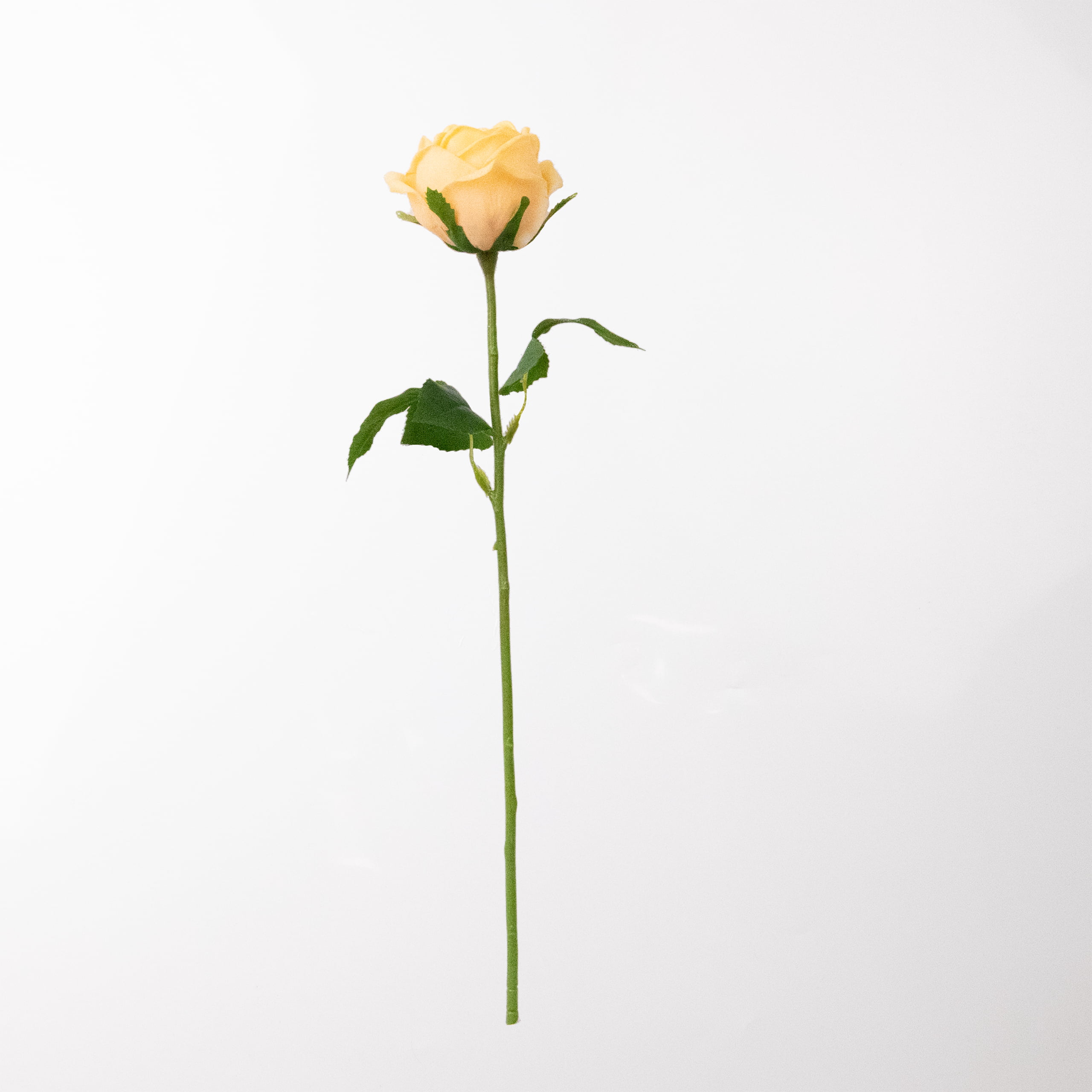 46cm Real-Touch Sarah Rose Stem