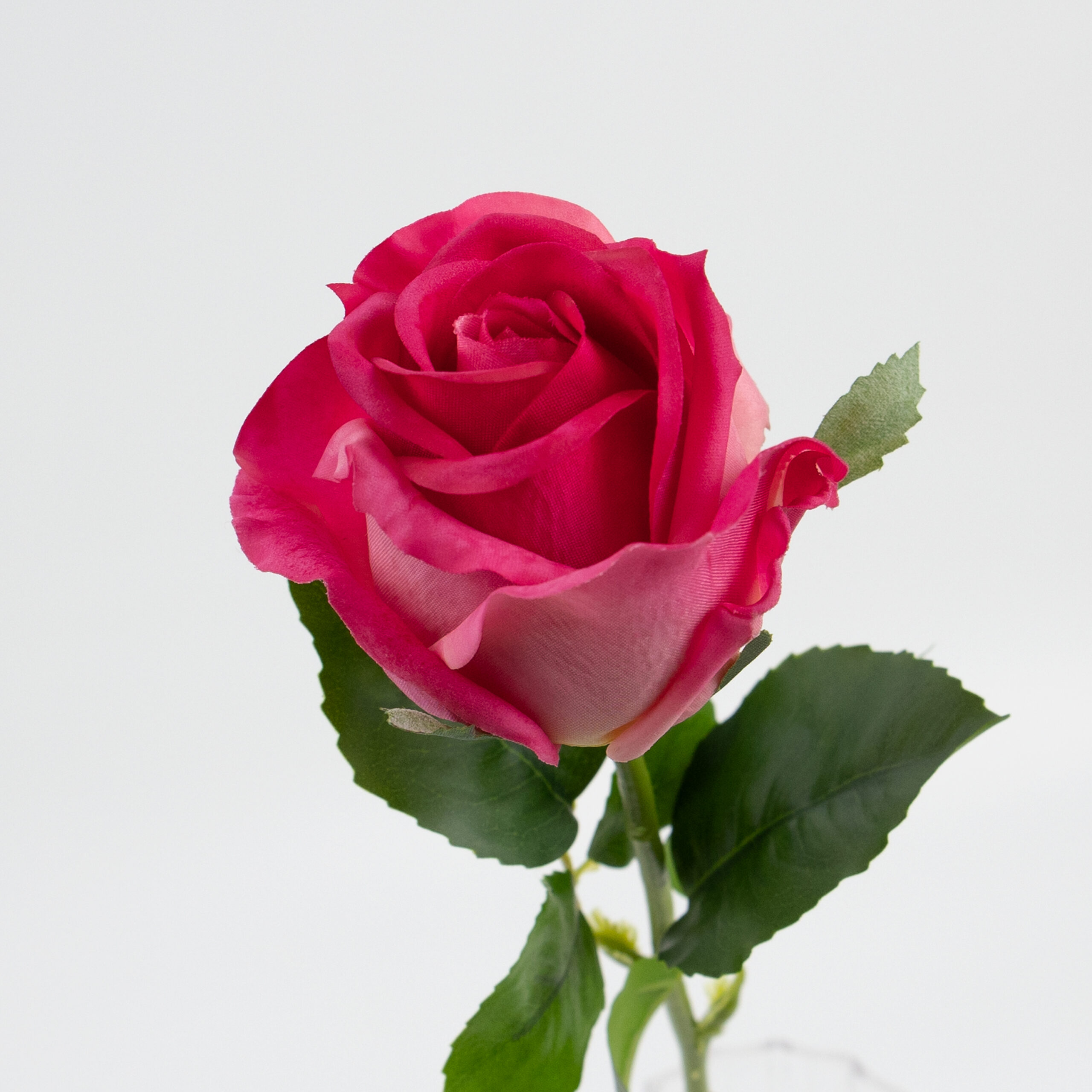 48cm Real-Touch Sofia Rose Stem