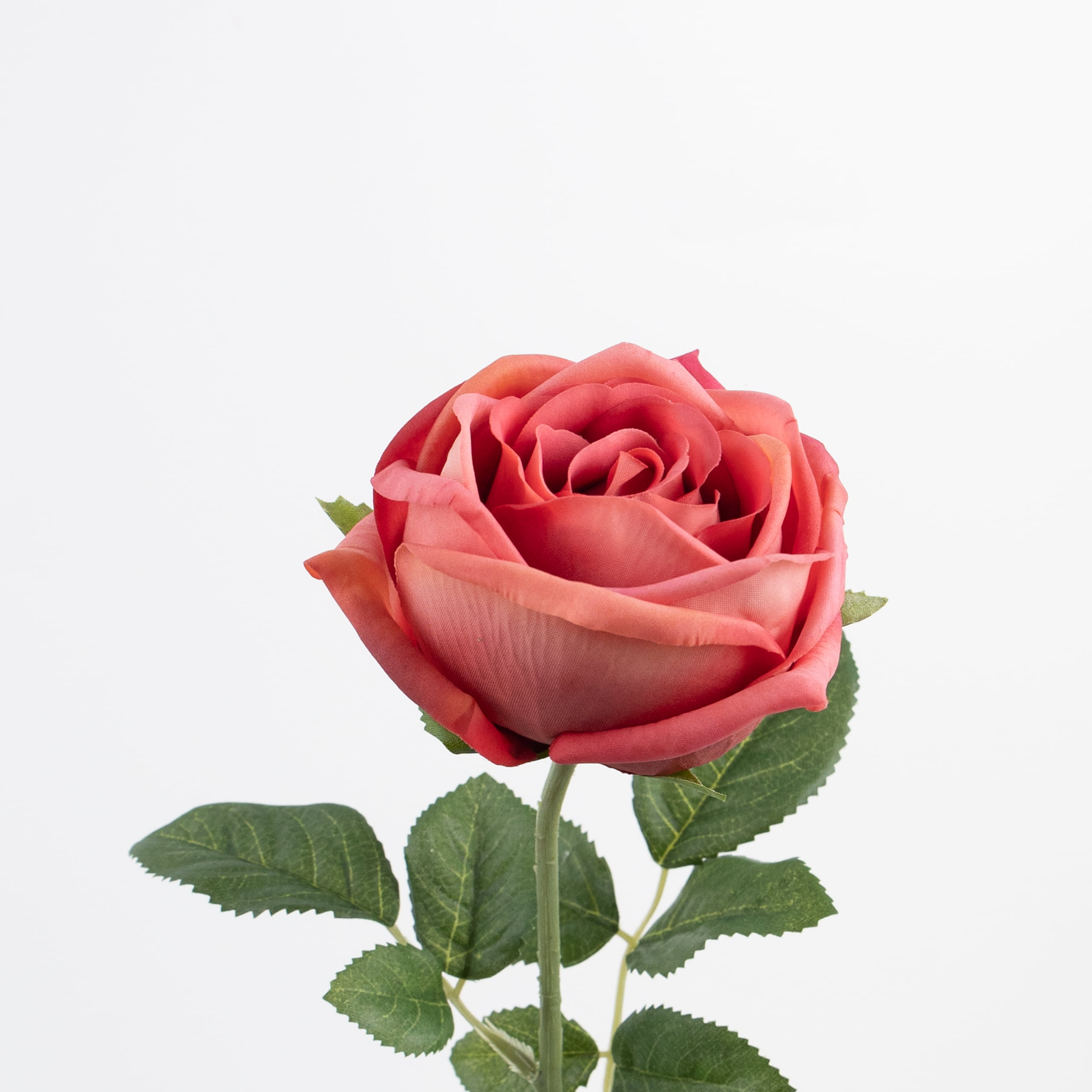 60cm Real-Touch Sarah Rose Stem