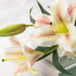 82cm Real-Touch 3 Heads Lily Spray