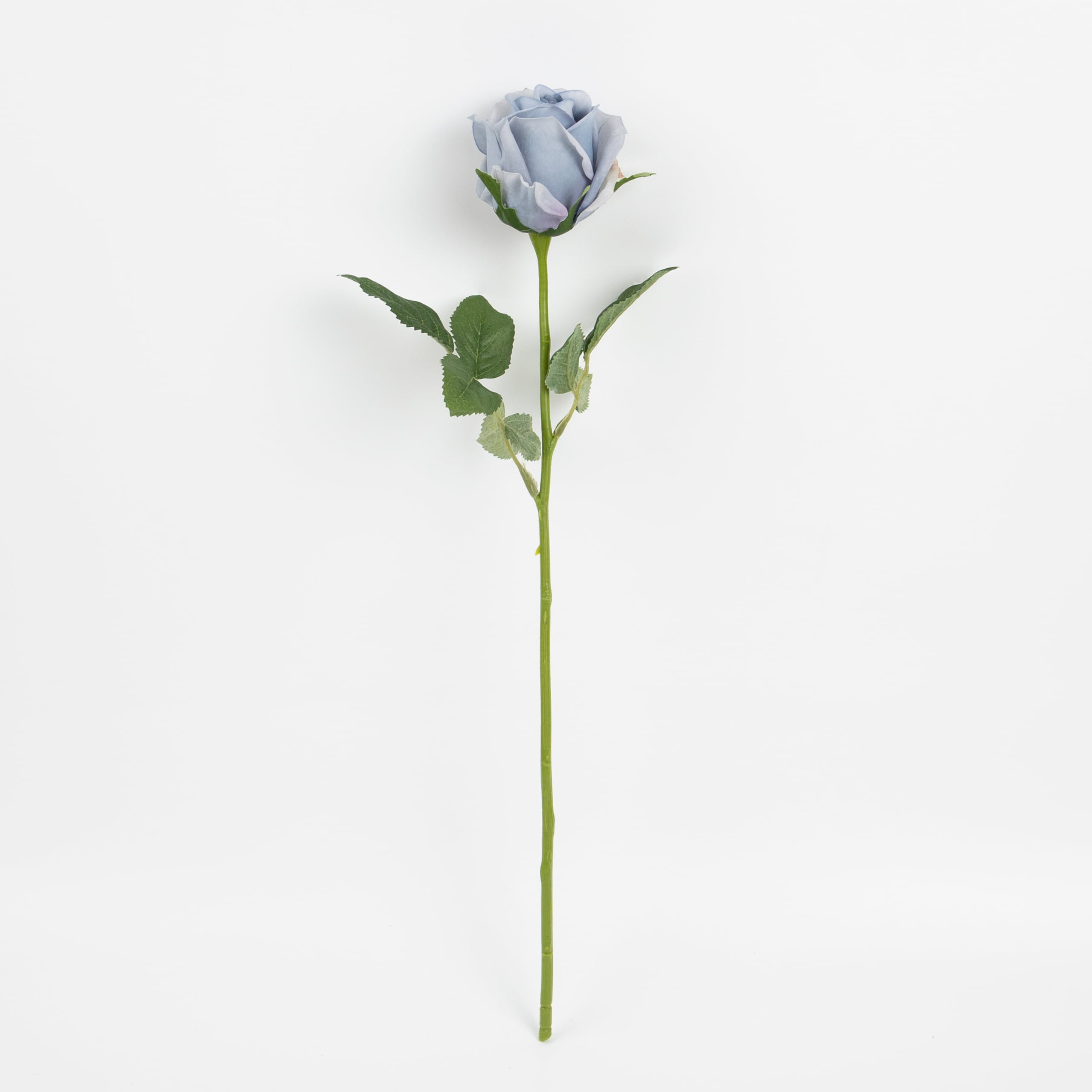 48cm Real-Touch Sofia Rose Stem
