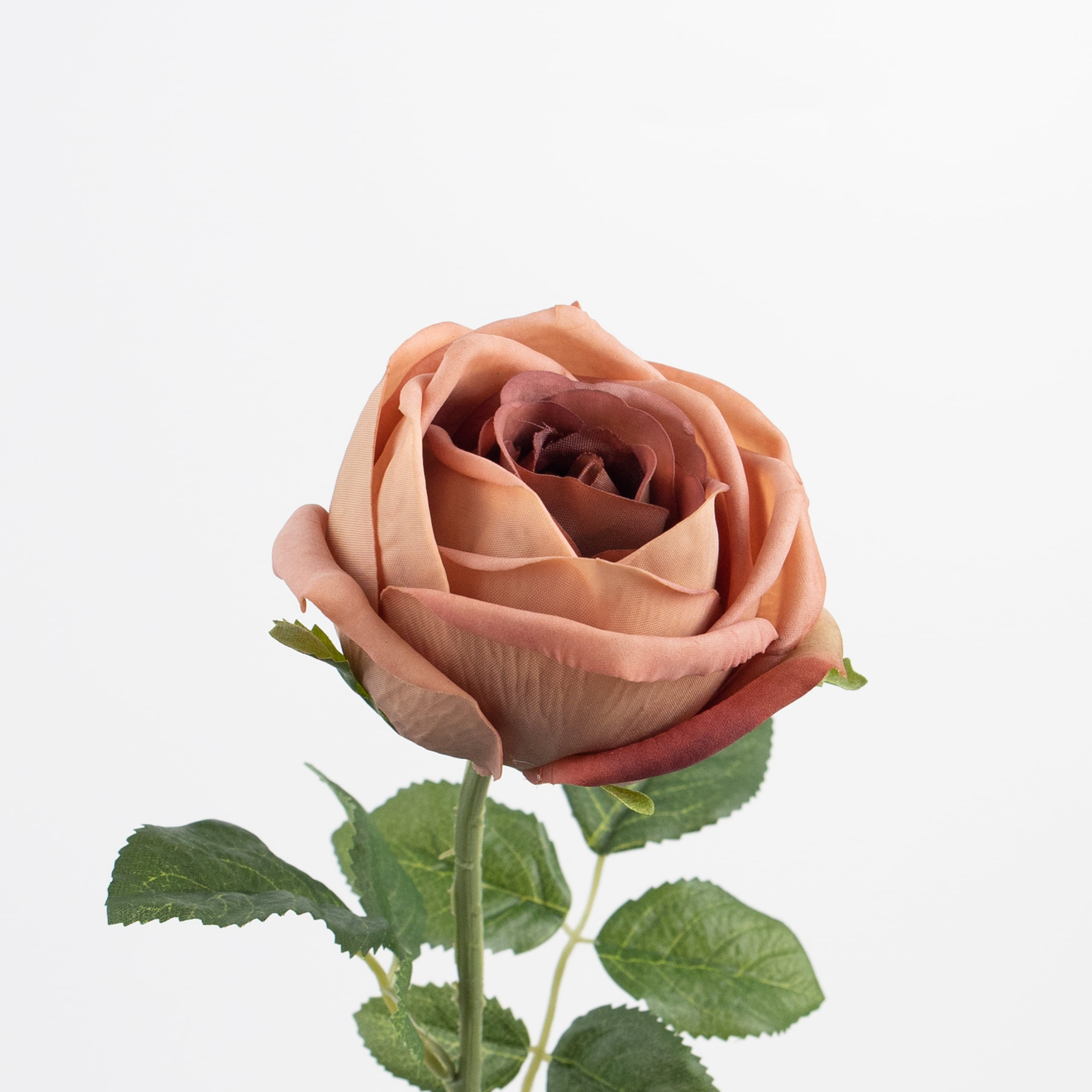 60cm Real-Touch Sarah Rose Stem