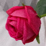 46cm Real-Touch Sarah Rose Stem