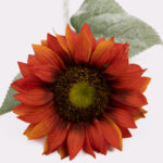 62cm Real-Touch Sunflower Stem
