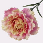 48cm Real-Touch Carnation Stem