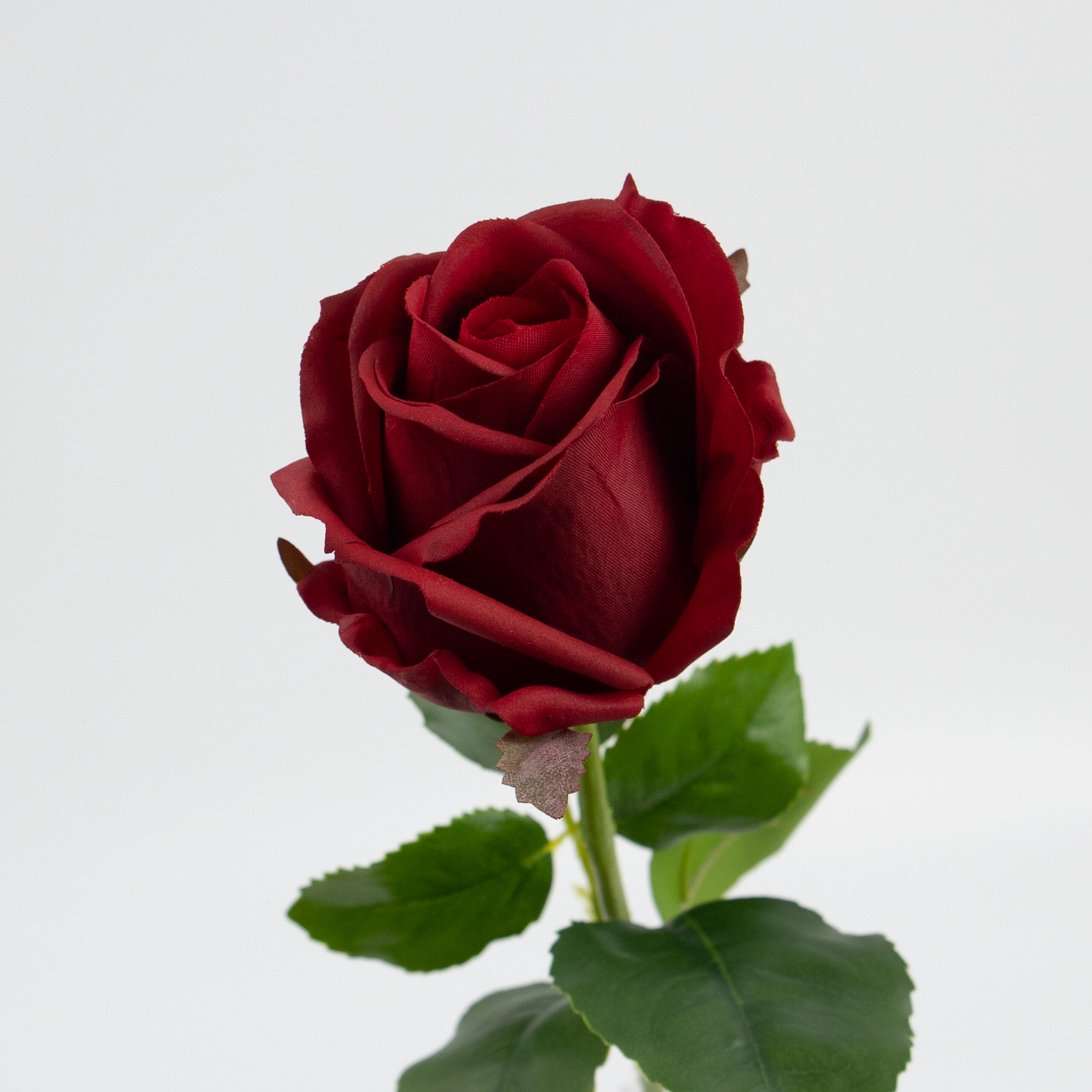 48cm Real-Touch Sofia Rose Stem