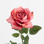 60cm Real-Touch Princess Rose Stem