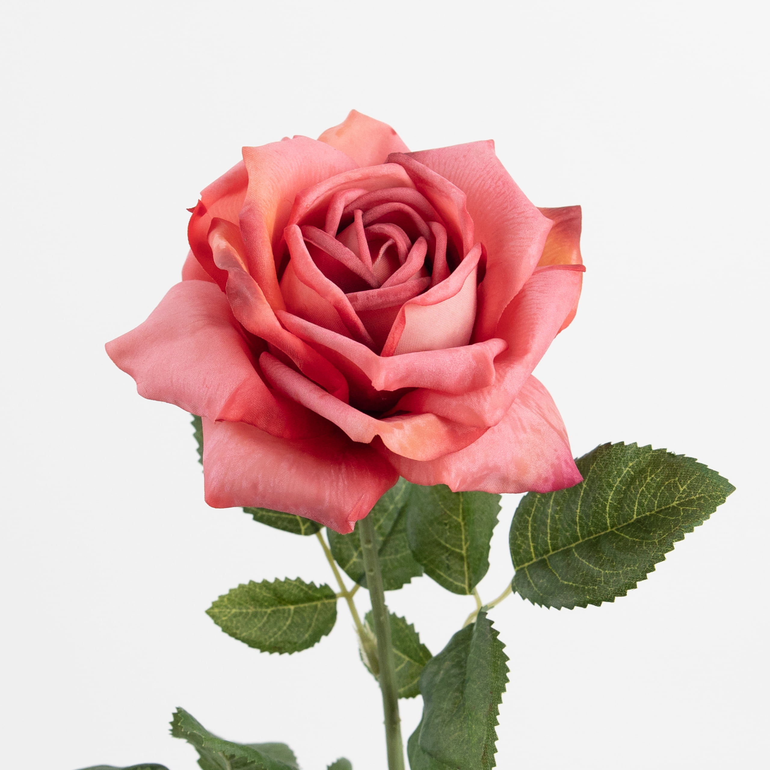 60cm Real-Touch Princess Rose Stem