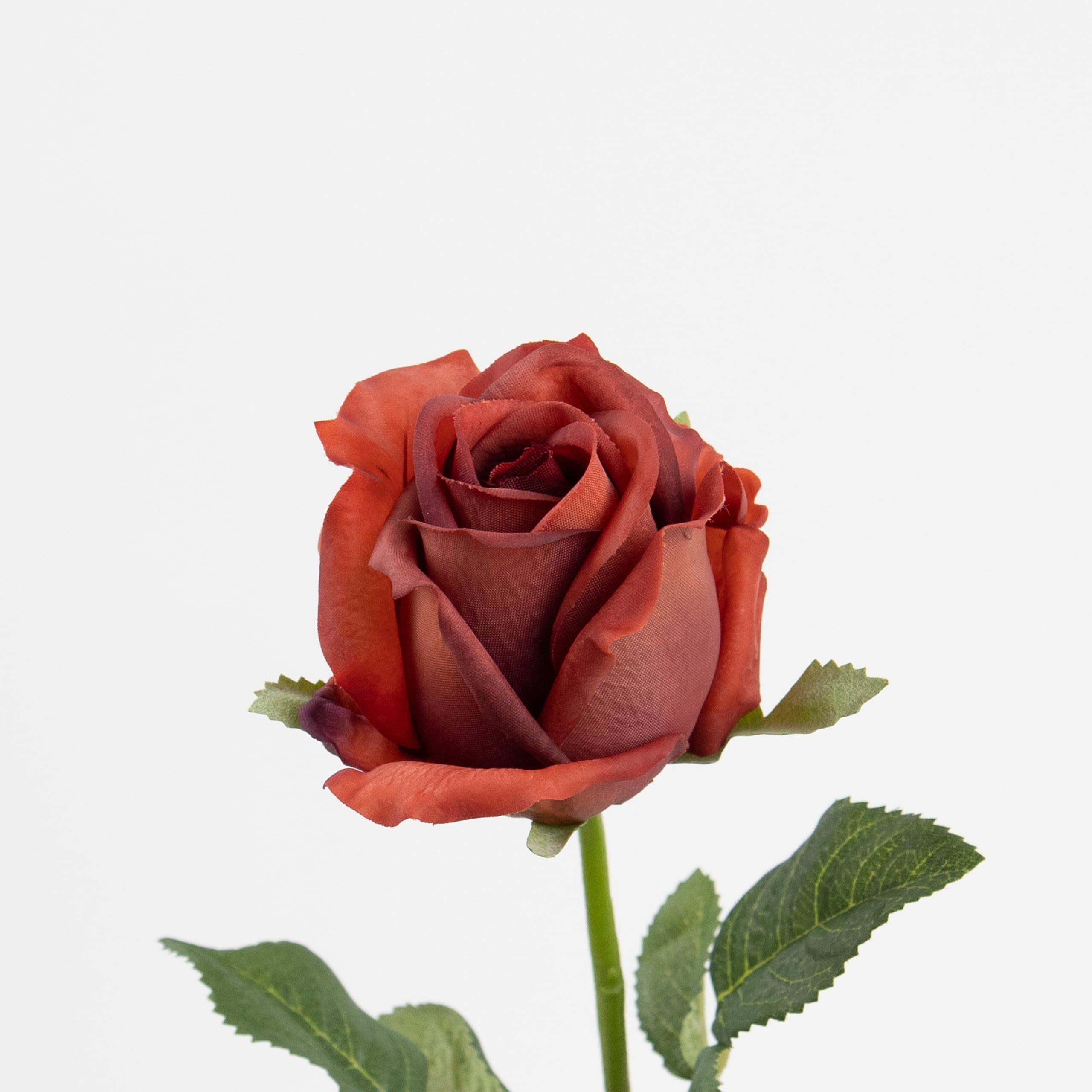 48cm Real-Touch Sofia Rose Stem