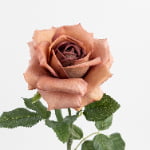 60cm Real-Touch Princess Rose Stem