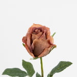 48cm Real-Touch Sofia Rose Stem