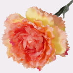48cm Real-Touch Carnation Stem
