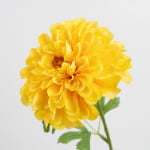 60cm Real-Touch Chrysanthemum Stem