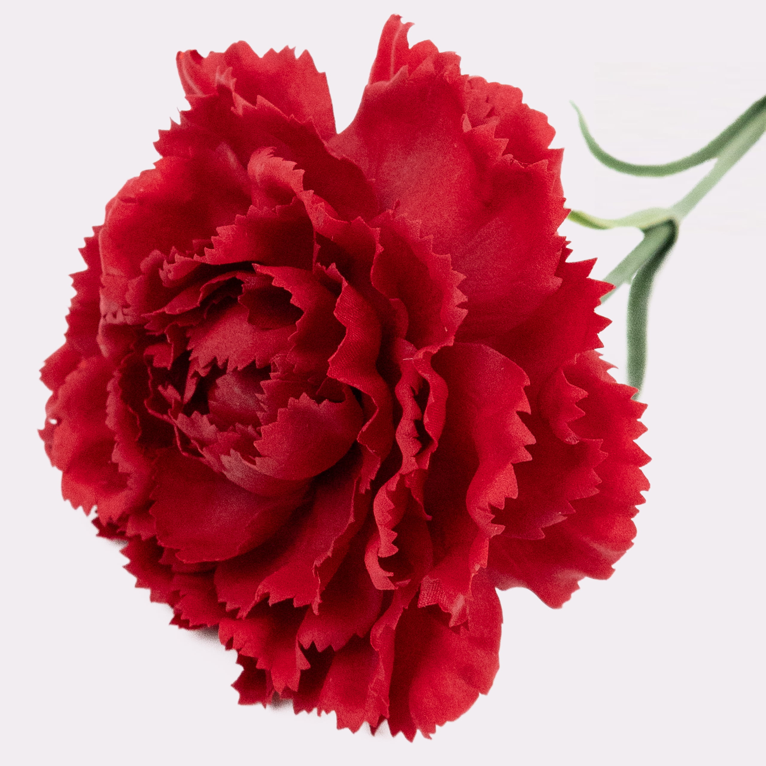 48cm Real-Touch Carnation Stem