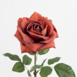 60cm Real-Touch Princess Rose Stem