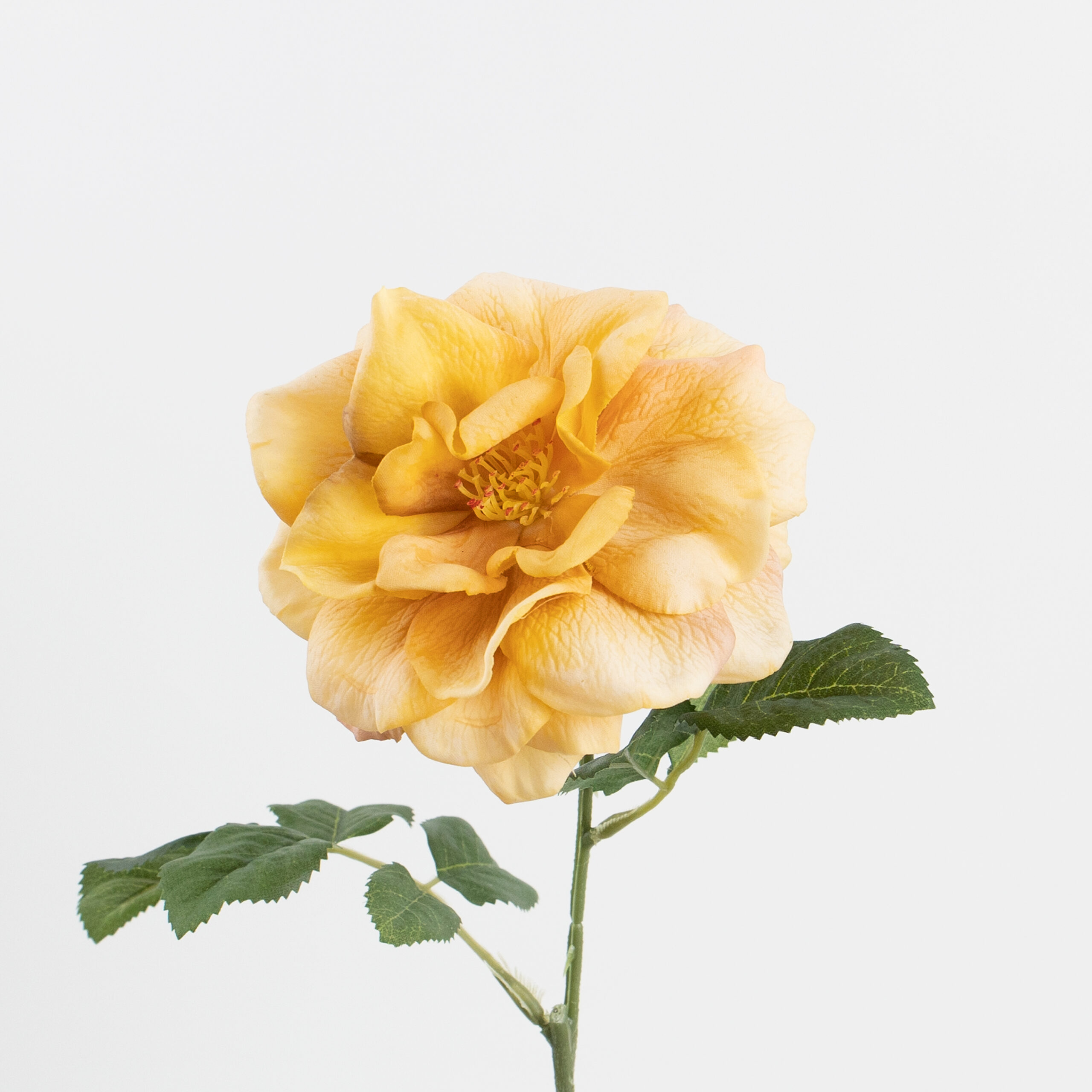 58cm Real-Touch Jasmine Rose Stem