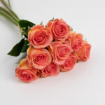 42cm Real-Touch 9 Heads Luna Rose Bundle