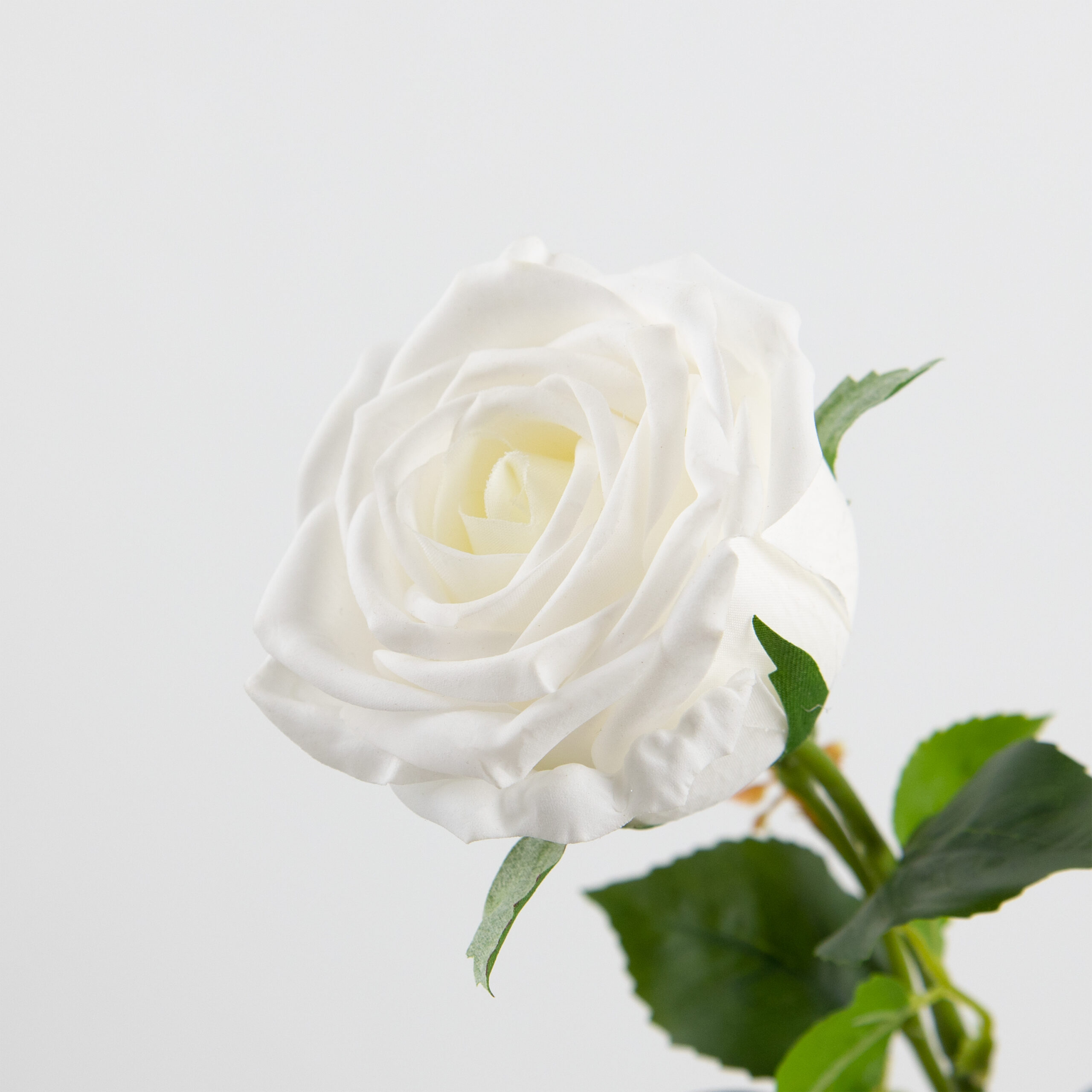 68cm Real-Touch Barbara Rose Stem