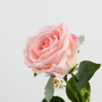 68cm Real-Touch Barbara Rose Stem