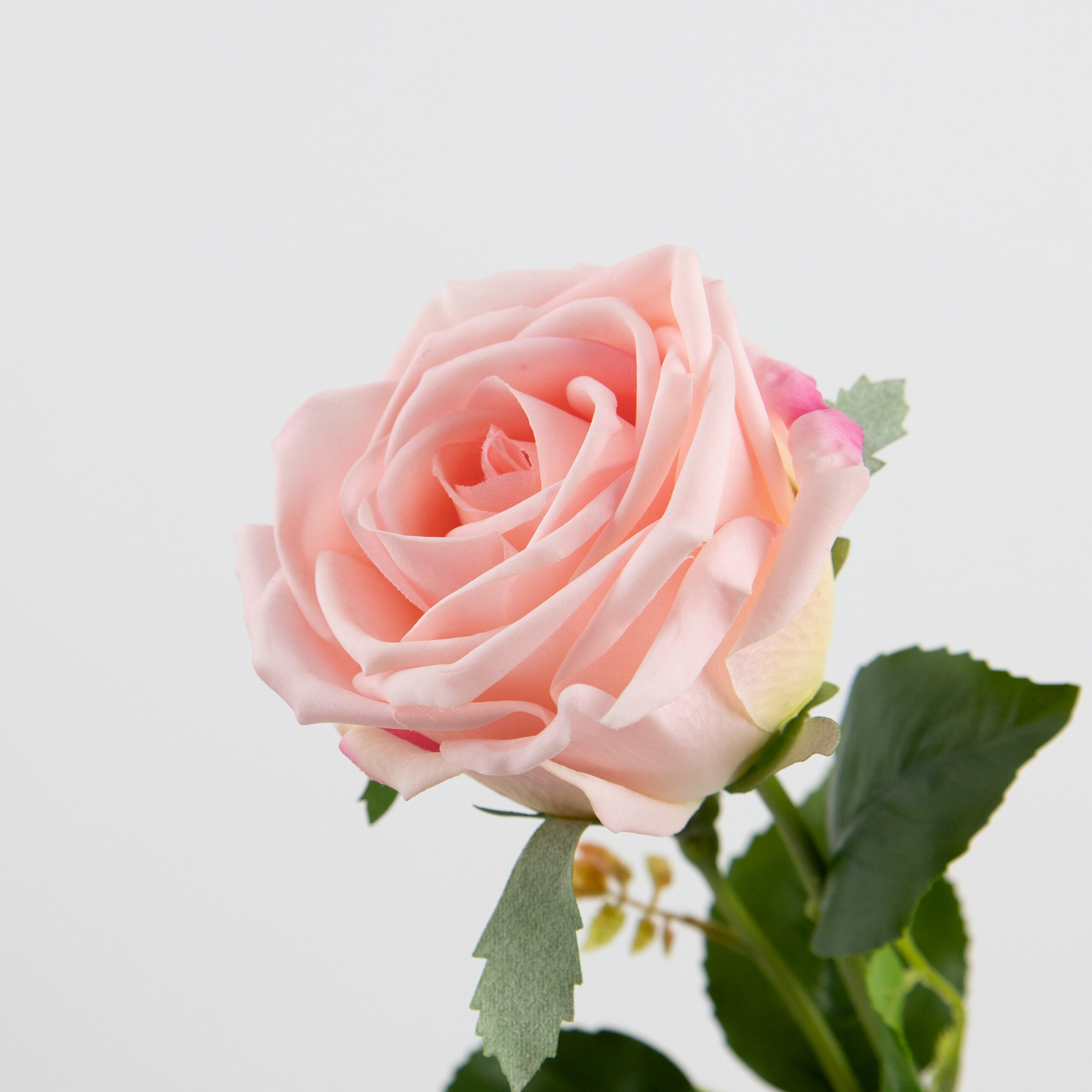68cm Real-Touch Barbara Rose Stem