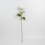 68cm Real-Touch Austin Rose Stem