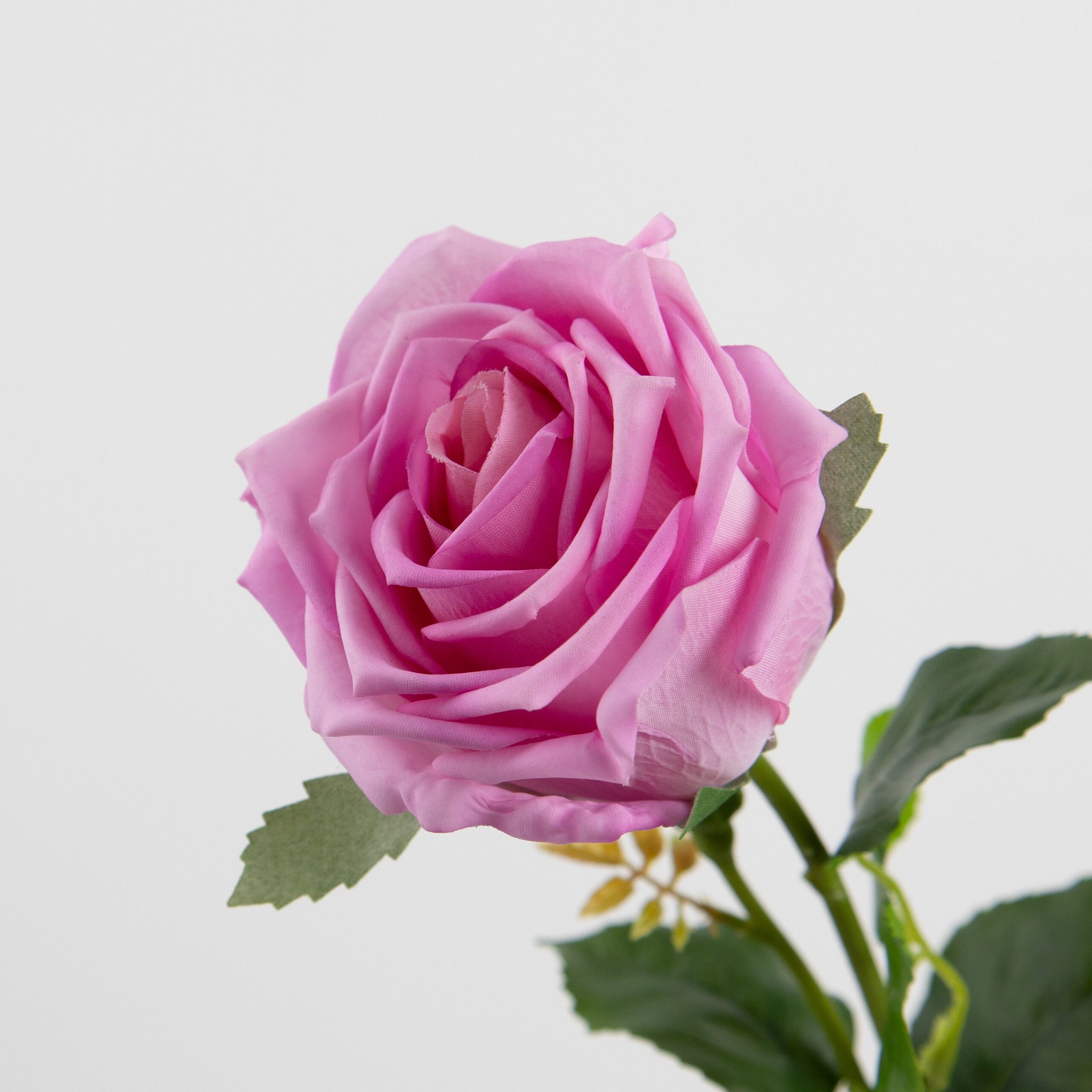 68cm Real-Touch Barbara Rose Stem