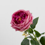 68cm Real-Touch Austin Rose Stem