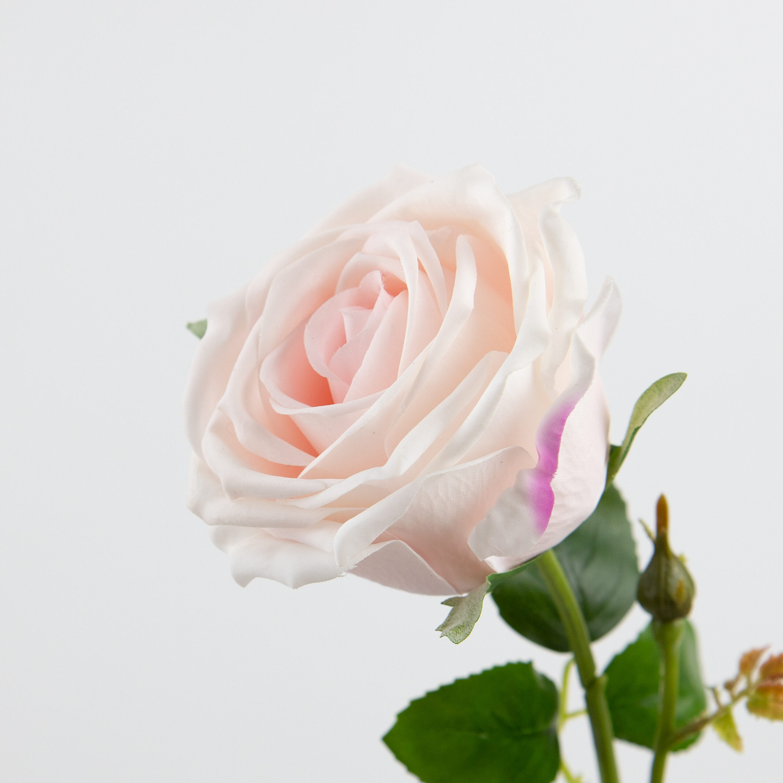 68cm Real-Touch Barbara Rose Stem
