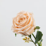 68cm Real-Touch Barbara Rose Stem