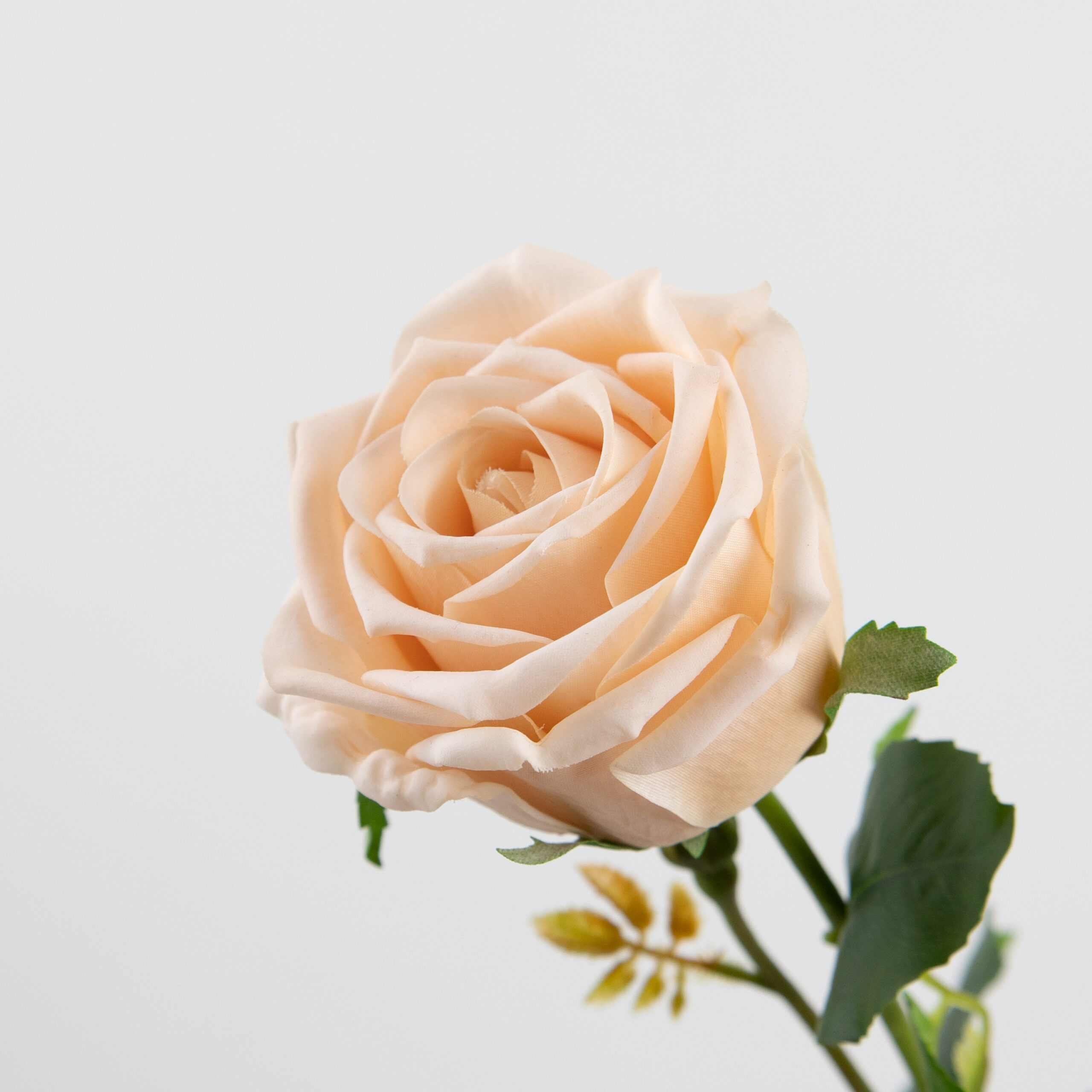 68cm Real-Touch Barbara Rose Stem
