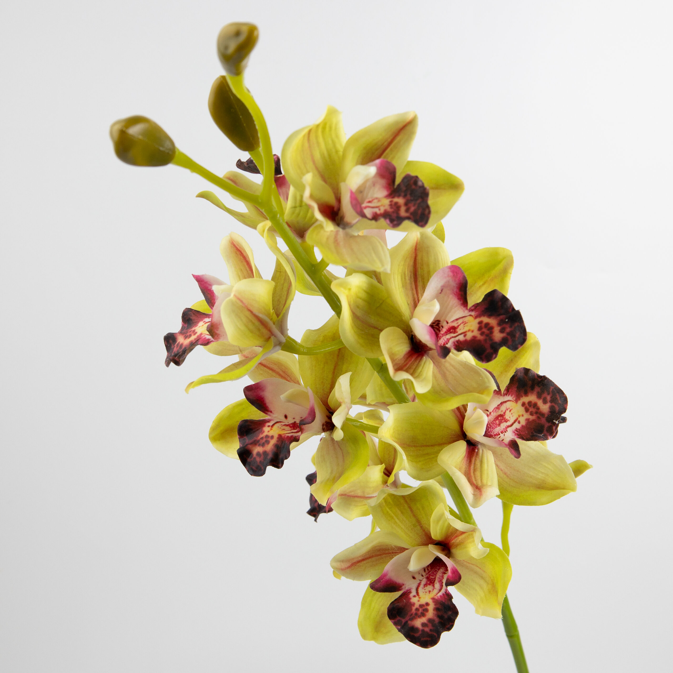 97cm Real-Touch 11 Heads Cymbidium Orchid Stem